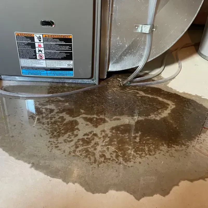 Appliance Leak Cleanup in Mary Esther, FL